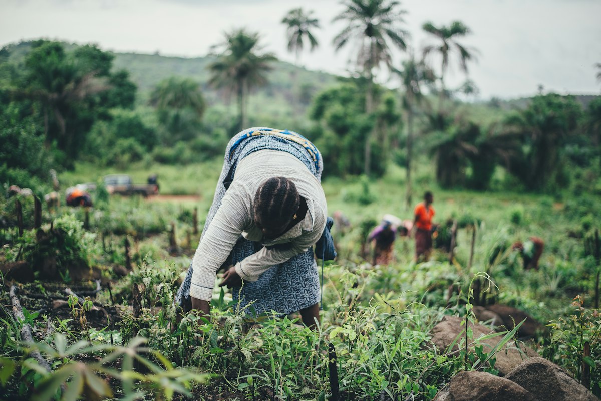 Agriculture